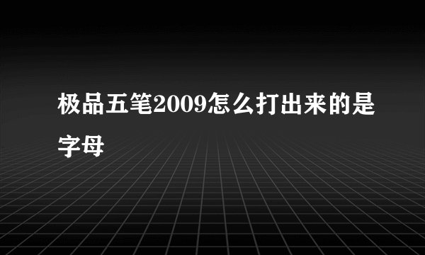 极品五笔2009怎么打出来的是字母