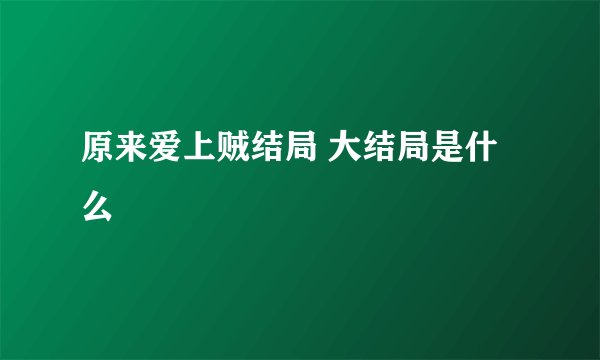 原来爱上贼结局 大结局是什么