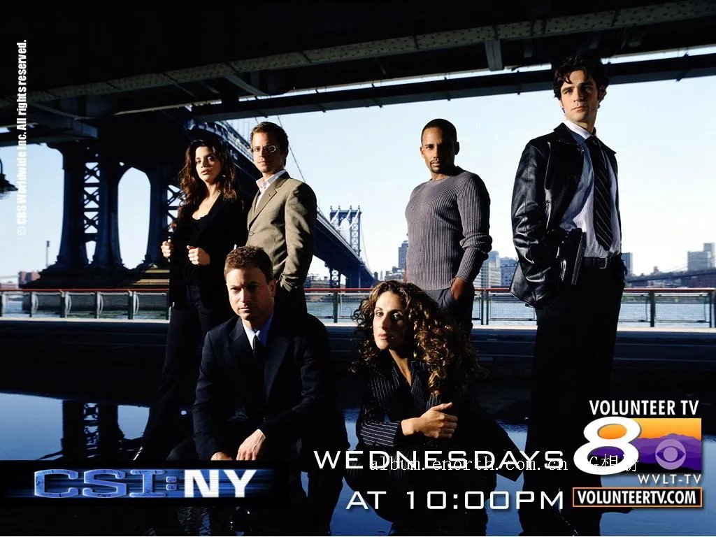 CSI纽约第八季的剧情简介