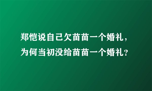 郑恺说自己欠苗苗一个婚礼，为何当初没给苗苗一个婚礼？