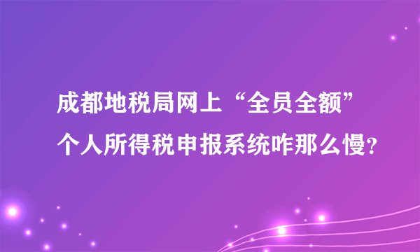 成都地税局网上“全员全额”个人所得税申报系统咋那么慢？