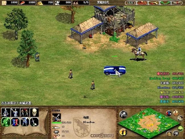 帝国时代2征服者秘籍是什么？