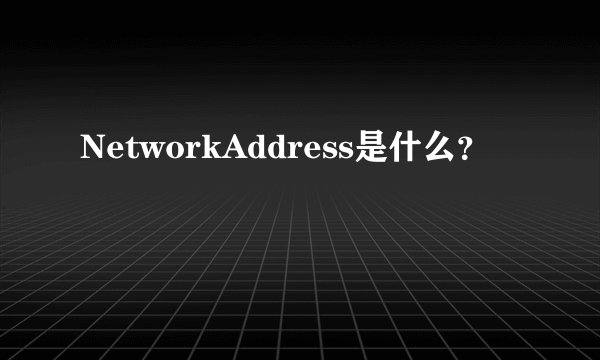 NetworkAddress是什么？