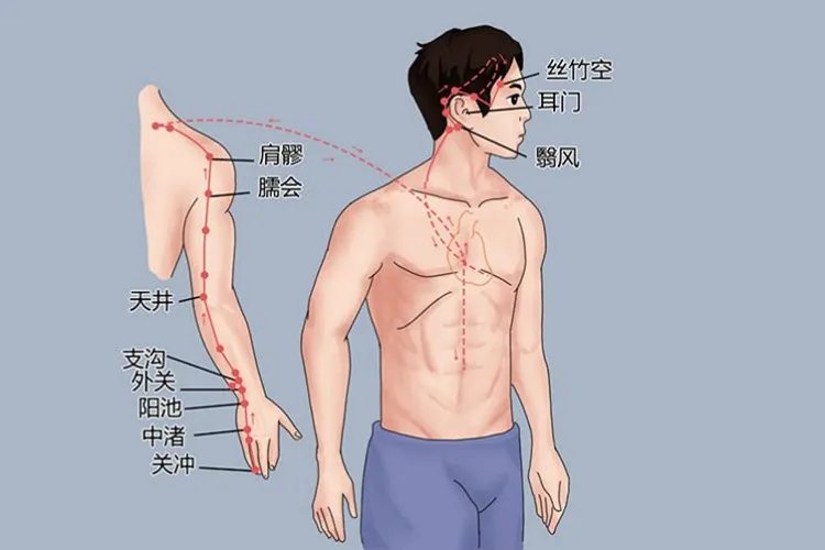 肩胛骨上的三条经络图