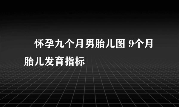 ​怀孕九个月男胎儿图 9个月胎儿发育指标