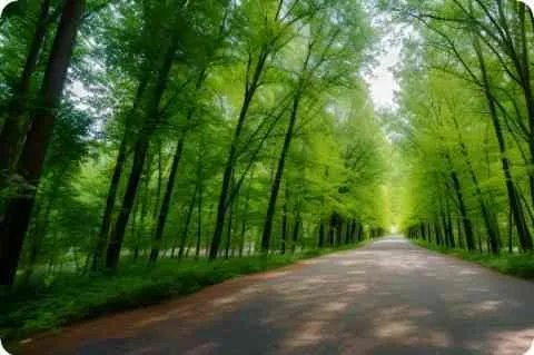 请问四川航空公司 航班号3u8814 机型320是什么意思？