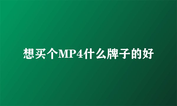想买个MP4什么牌子的好