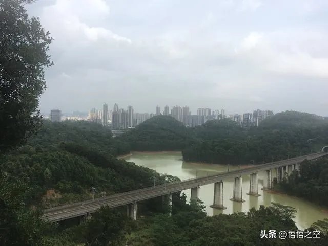 火车和动车的平均速度数值是多少？