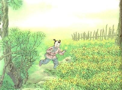 儿童急走追黄蝶 飞入菜花无处寻什么意思
