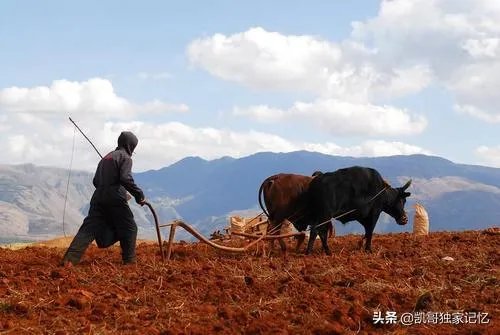 南通有10000多的工资工厂吗？