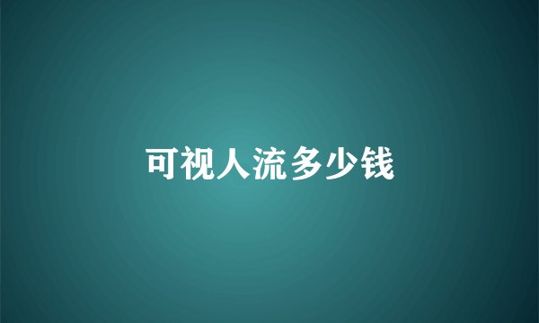 可视人流多少钱