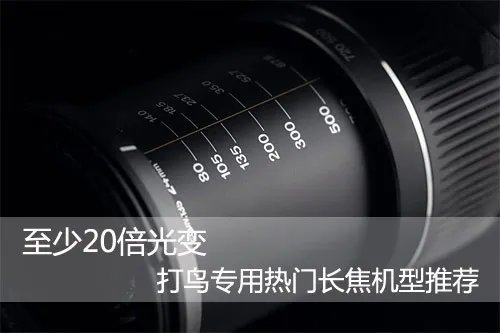 至少20倍光变 打鸟专用热门长焦机型推荐