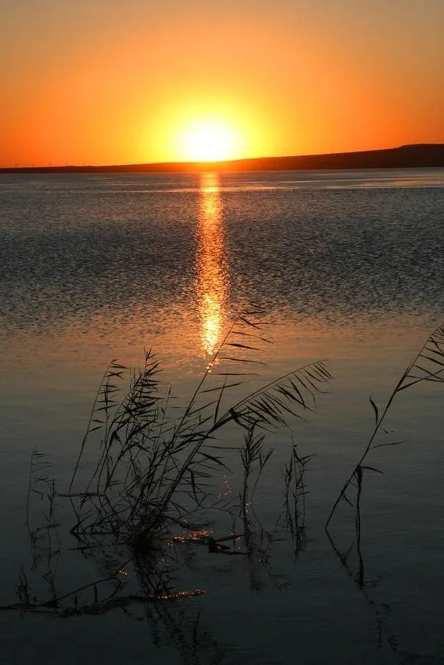 武汉未来科技城旁边可以钓鱼的地方有哪些？