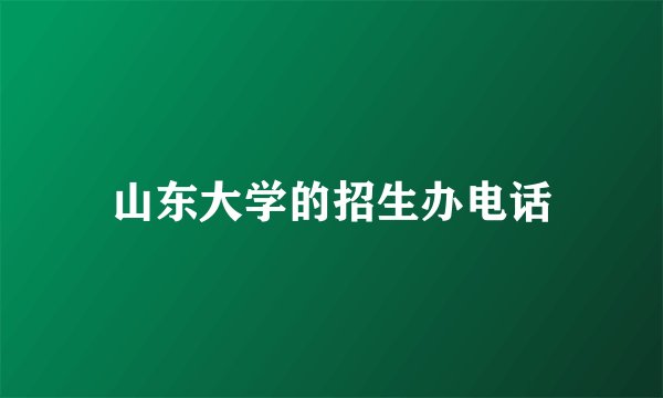 山东大学的招生办电话