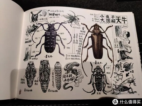 不求甚解集 篇二十：我们的八十年代：《漫步八十年代：老北京拾遗》