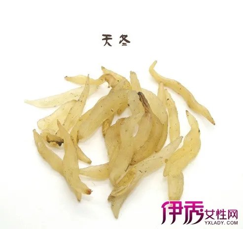 中药图片大全及名称图片欣赏