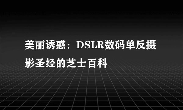 美丽诱惑：DSLR数码单反摄影圣经的芝士百科