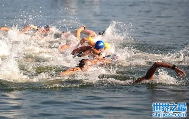 公开水域中国首金 选手辛鑫改写中国公开水域零金牌历史 