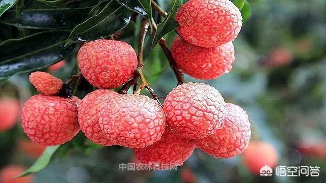 从化位于广东哪里？