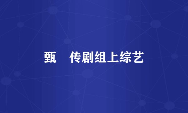 甄嬛传剧组上综艺