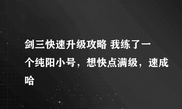 剑三快速升级攻略 我练了一个纯阳小号，想快点满级，速成哈