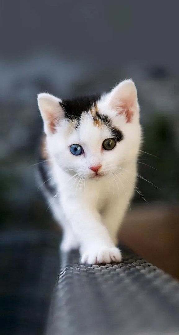 好看的锁屏壁纸有可以分享的吗？