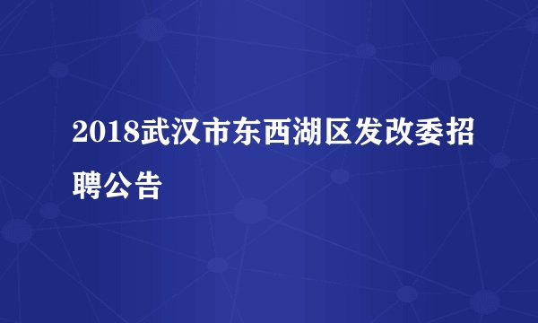2018武汉市东西湖区发改委招聘公告