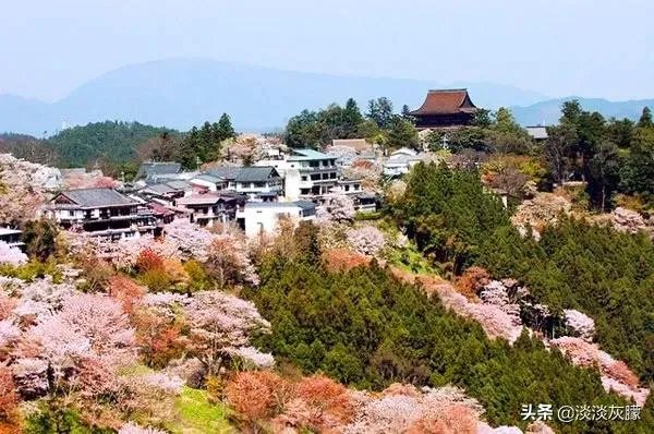 奈良的旅游成本大概是多少？如何规划？