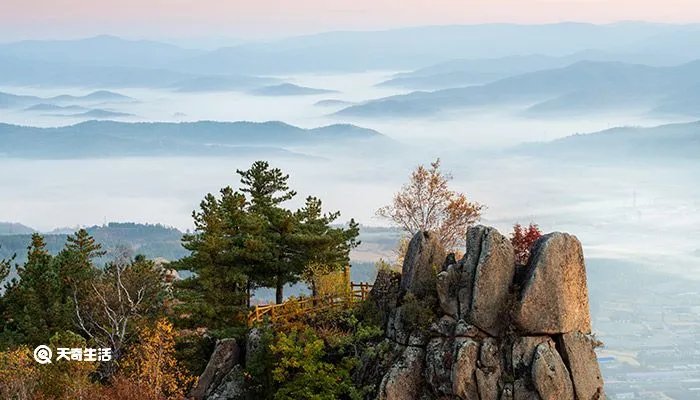 伊春是哪个省的