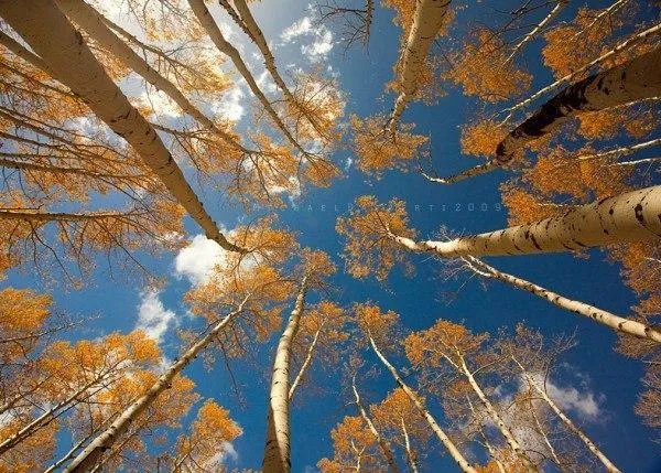 武汉未来科技城旁边可以钓鱼的地方有哪些？