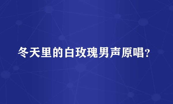 冬天里的白玫瑰男声原唱？