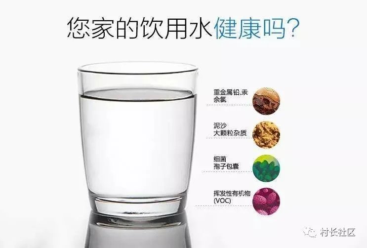 自来水不敢直接喝的举手！