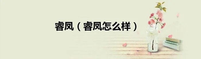 睿凤（睿凤怎么样）