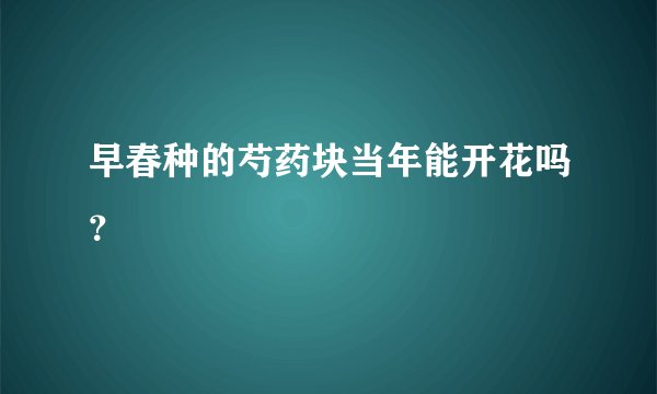 早春种的芍药块当年能开花吗？