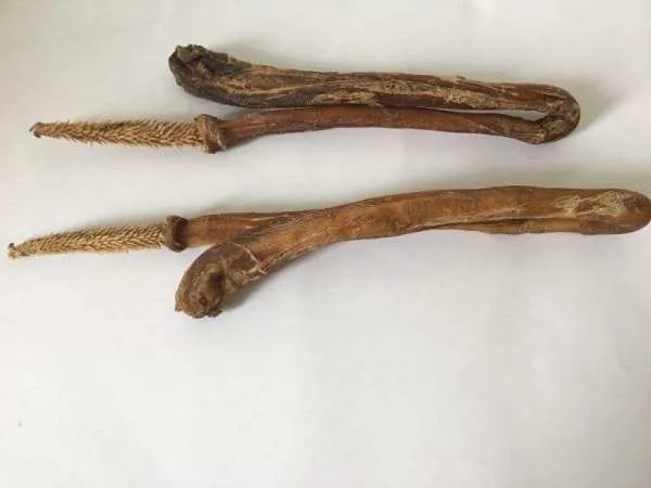 男子捡到虎骨准备泡酒，结果获刑5年，这是为何？