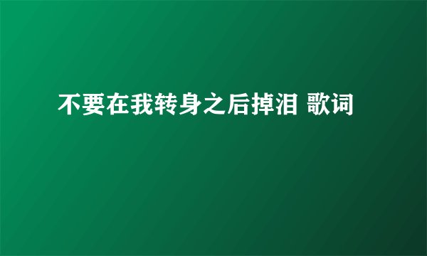 不要在我转身之后掉泪 歌词