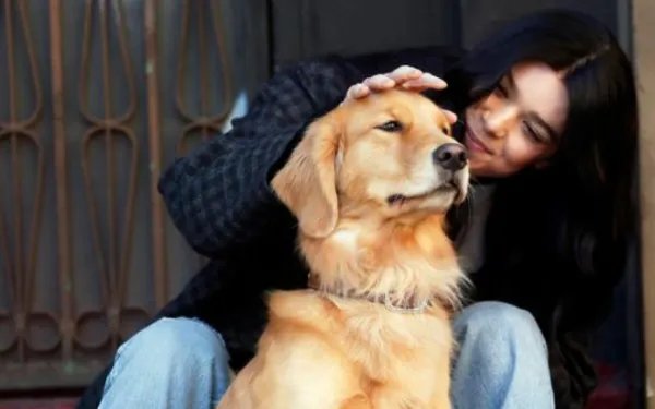 杭州一宠物狗晕车女子高速上下车遛狗，这样的行为有多危险？