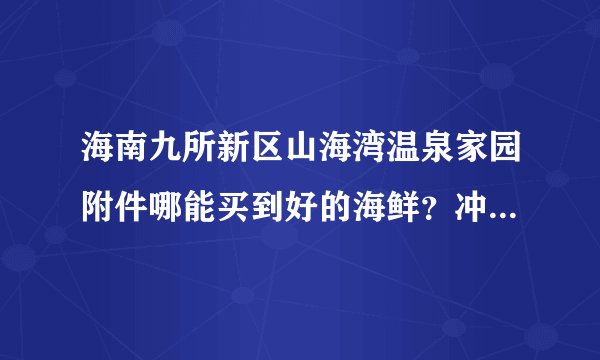 海南九所新区山海湾温泉家园附件哪能买到好的海鲜？冲坡在哪能买到？怎么去呢？