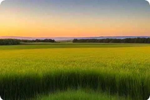 《青玉案·曹组》原文与赏析