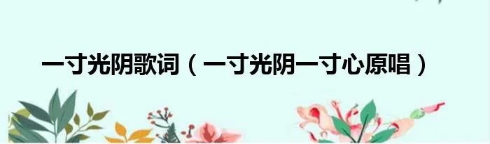 一寸光阴歌词（一寸光阴一寸心原唱）