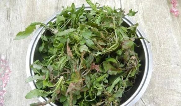 荠菜怎么做好吃