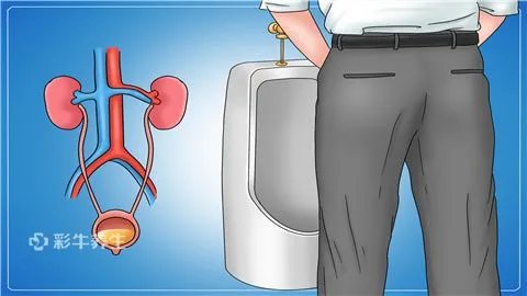 阳痿早泄能治好吗