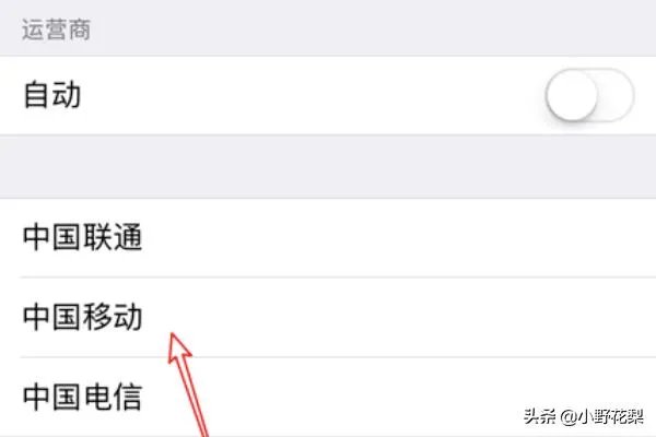 iphone怎么改运营商？