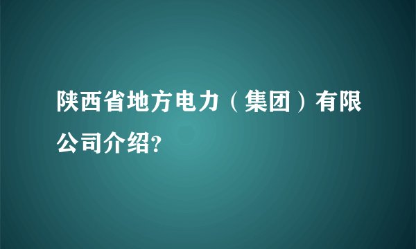 陕西省地方电力（集团）有限公司介绍？