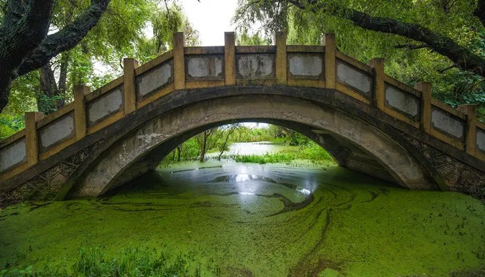 苏州姑苏区是市中心吗 苏州姑苏区到底是市中心吗
