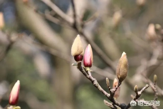 摄影技术提高靠什么，是交流还是看书？