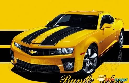 变形金刚:毁灭 角色资料大全 角色背景资料 大黄蜂