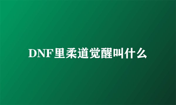 DNF里柔道觉醒叫什么
