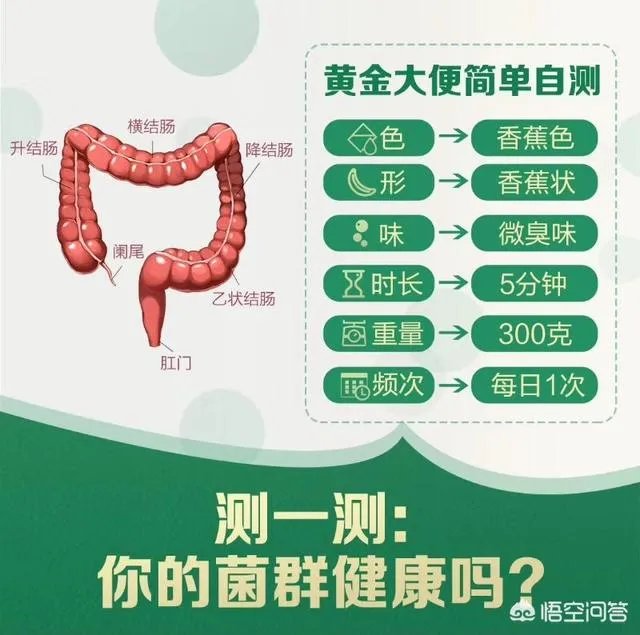 你们买益生菌的话都是买什么品牌的？