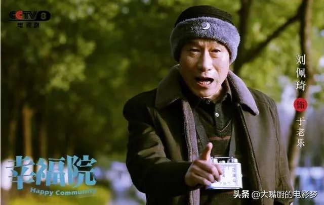 如何评价由刘佩琦、王丽云主演的电视剧《幸福院》？